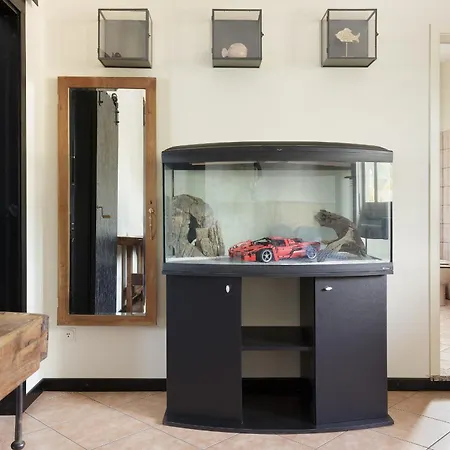 Casa Di Betty - Del Segrino *